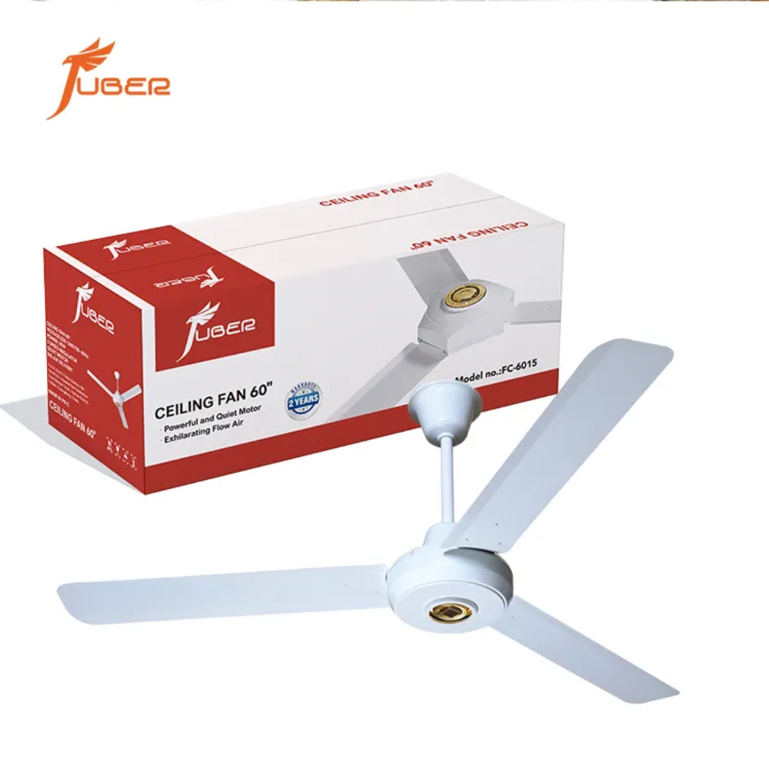 BLDC Ceiling Fan